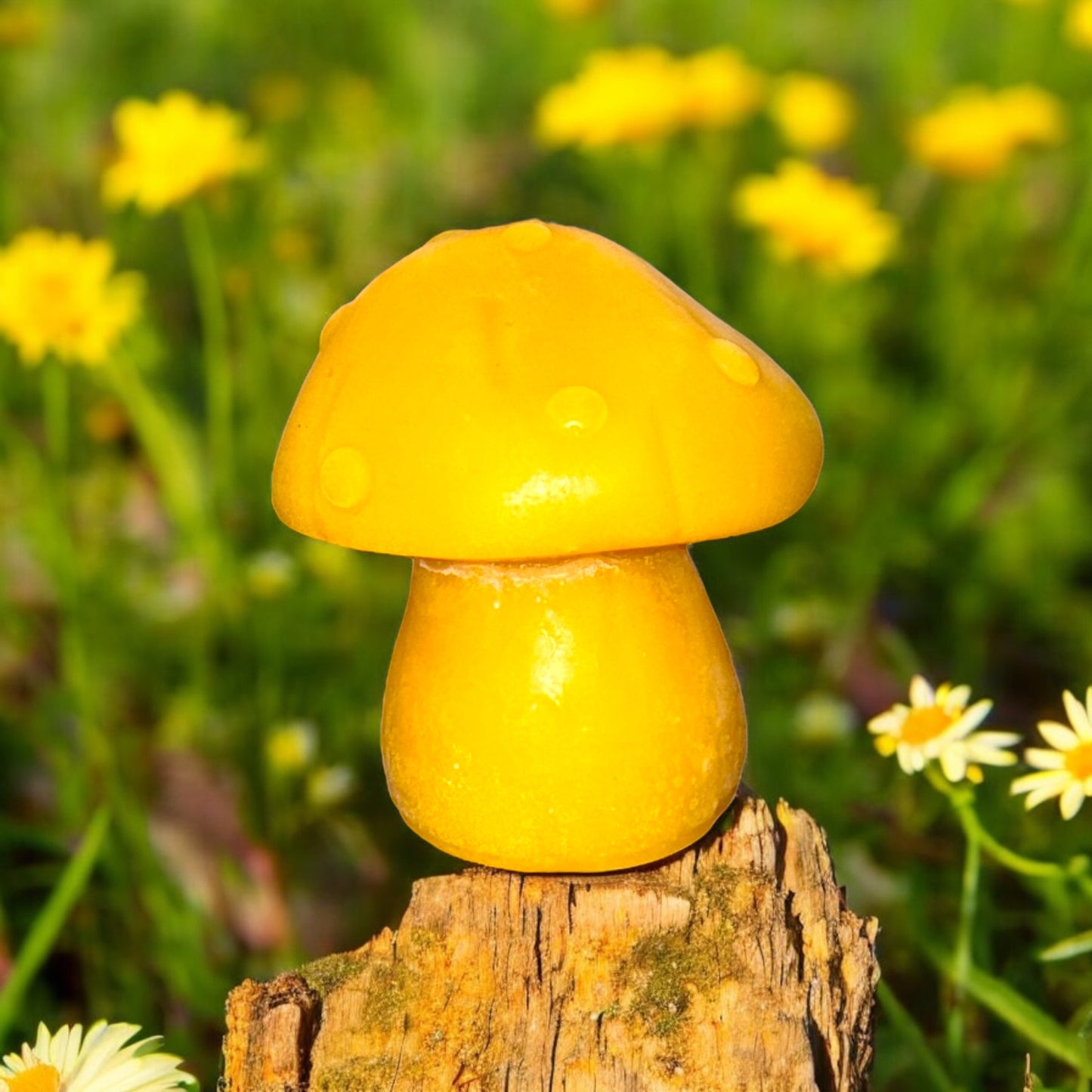 Organic beeswax candles
